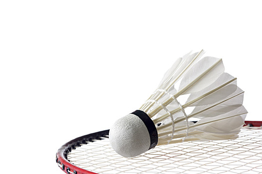 分的贡献 分的贡献